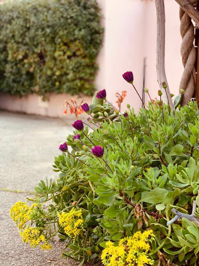 Suite Les Couchants Porticcio  Dış mekan fotoğraf