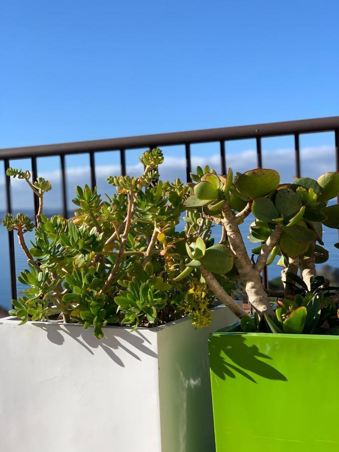 Suite Les Couchants Porticcio  Dış mekan fotoğraf