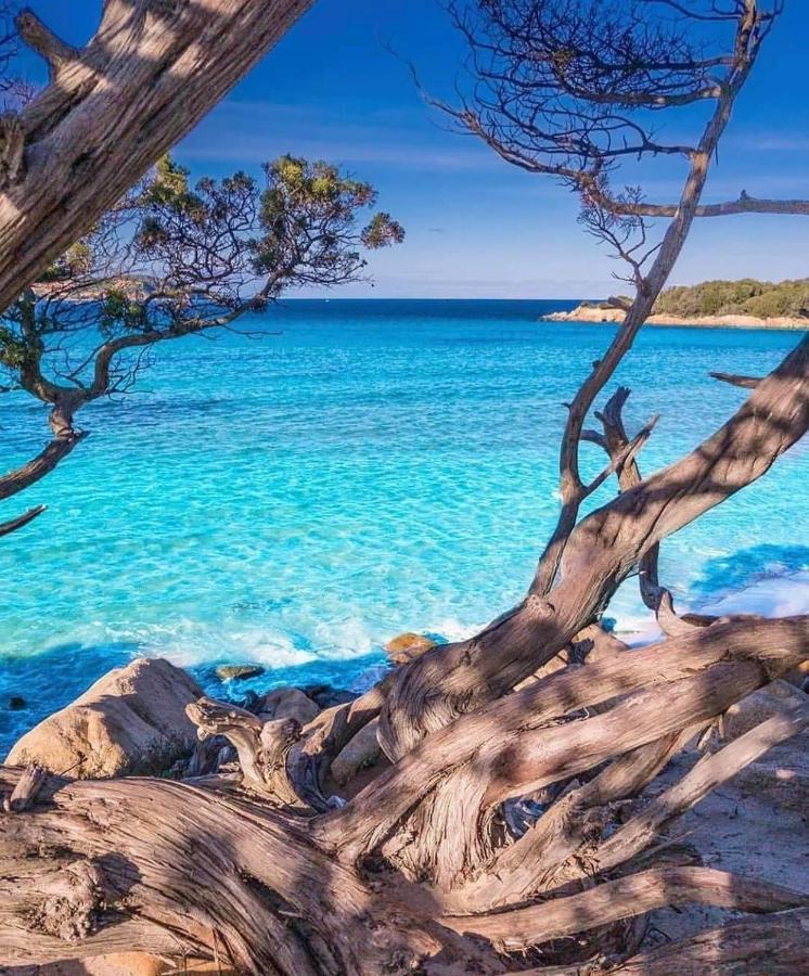 Suite Les Couchants Porticcio  Dış mekan fotoğraf